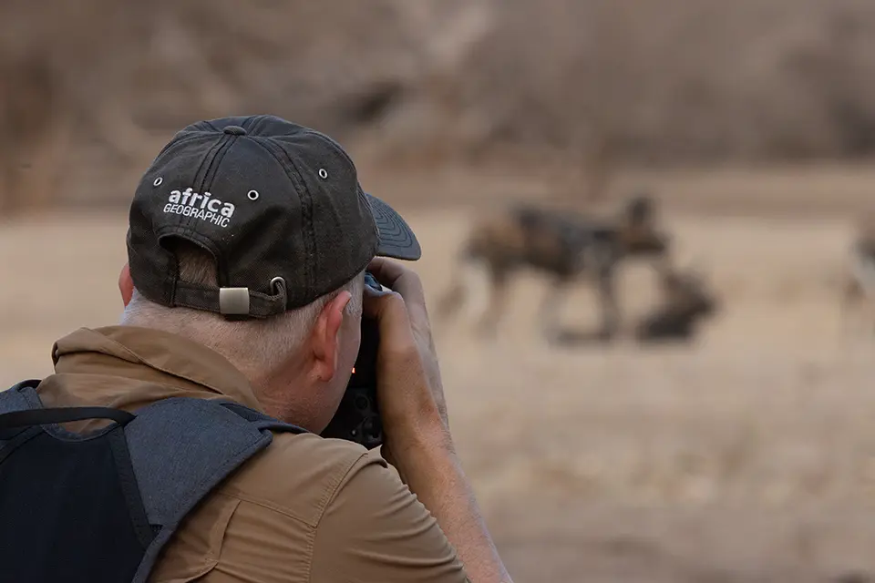 Southern Africa wild dog safari