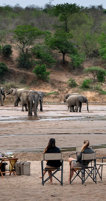 Watching elephants in Hluhluwe-iMfolozi Park