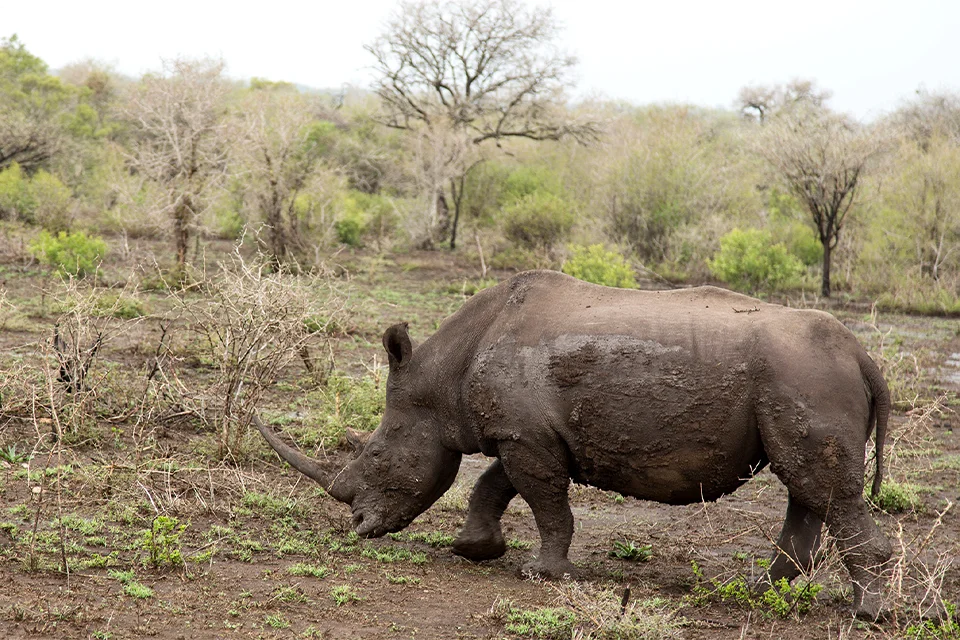 iSimangaliso Wetland Park