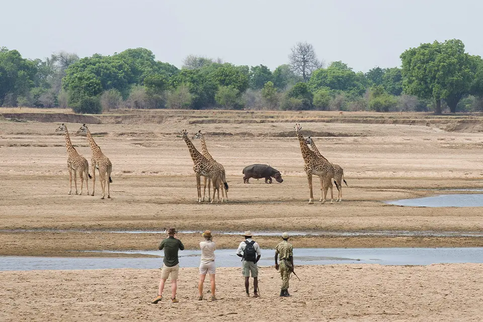 Best of Zambia