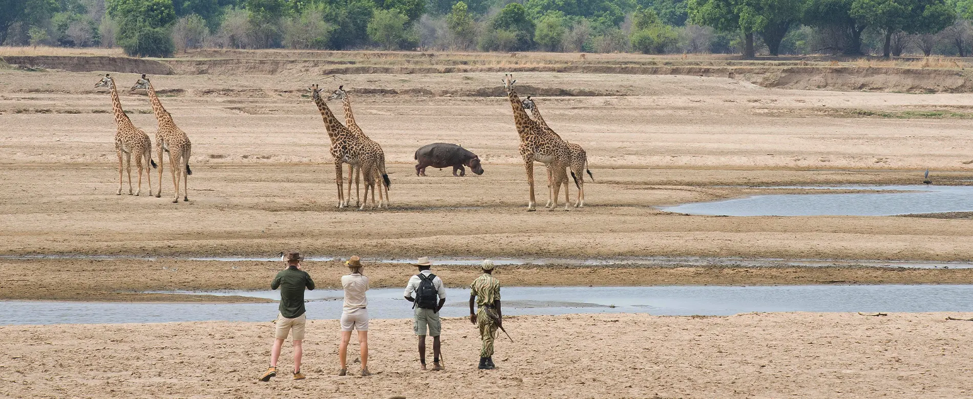 Zambian luxury safari